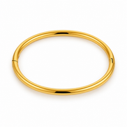 Ovale Classic Bangle